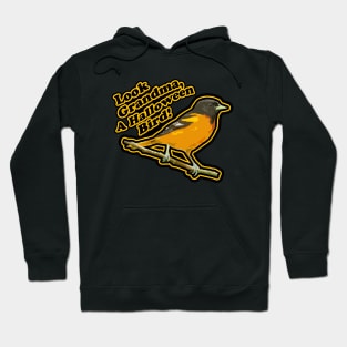 Look Grandma, A Halloween Bird! Oriole Bird in Orange Hoodie